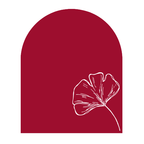 Illustration_ginko_rouge ancrage & sécurité intérieure